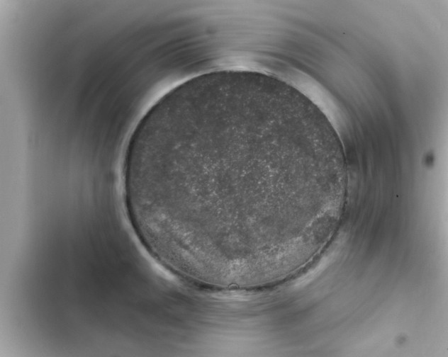 X0000102401141200808151937