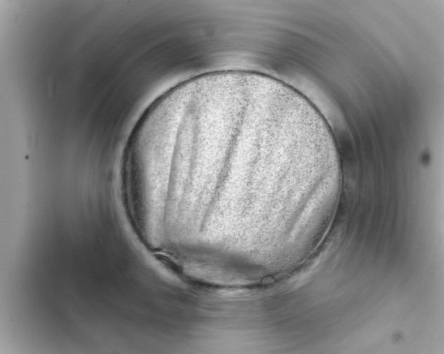 X0000102401142200808151937