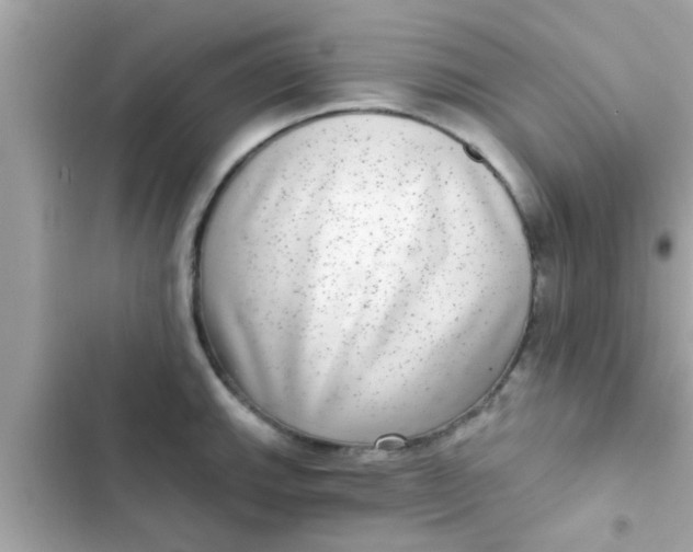 X0000102401143200808151937