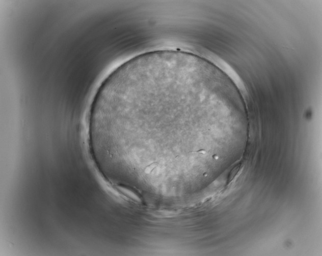 X0000102401144200808151937