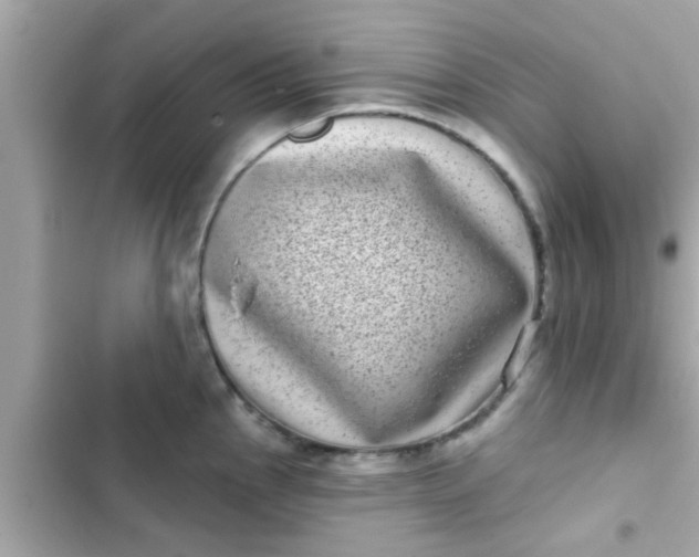 X0000102401145200808151937