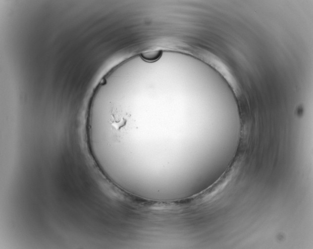 X0000102401146200808151937