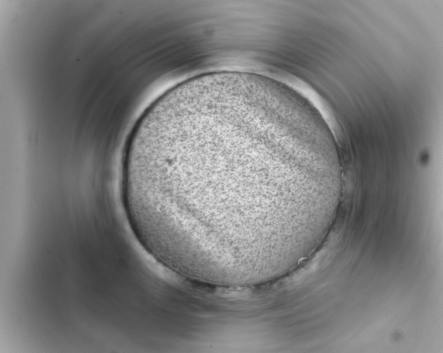 X0000102401147200808151937