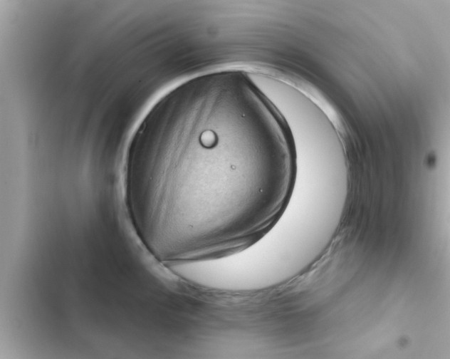 X0000102401148200808151937