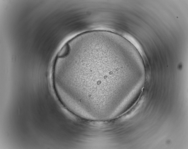 X0000102401149200808151937