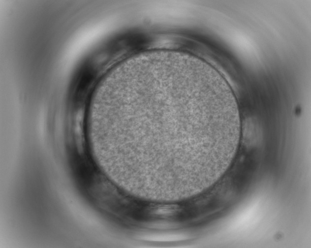 X0000102401150200808151937