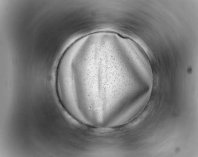 X0000102401151200808151937