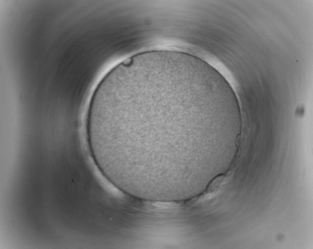 X0000102401152200808151937