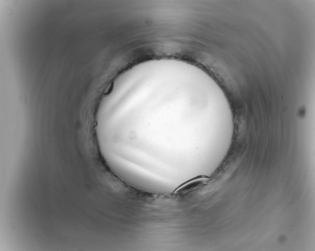 X0000102401153200808151937