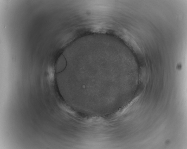 X0000102401154200808151937