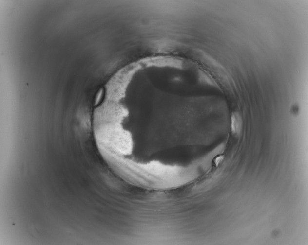 X0000102401155200808151937