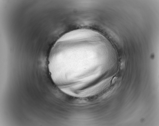 X0000102401156200808151937