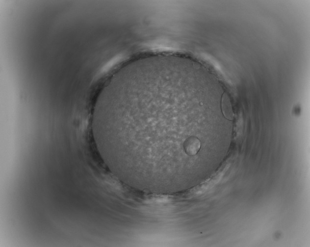 X0000102401157200808151937