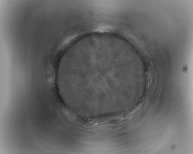 X0000102401158200808151937