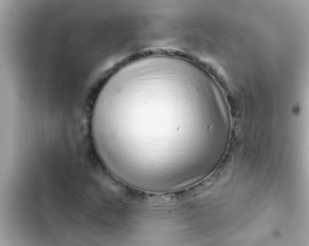 X0000102401159200808151937