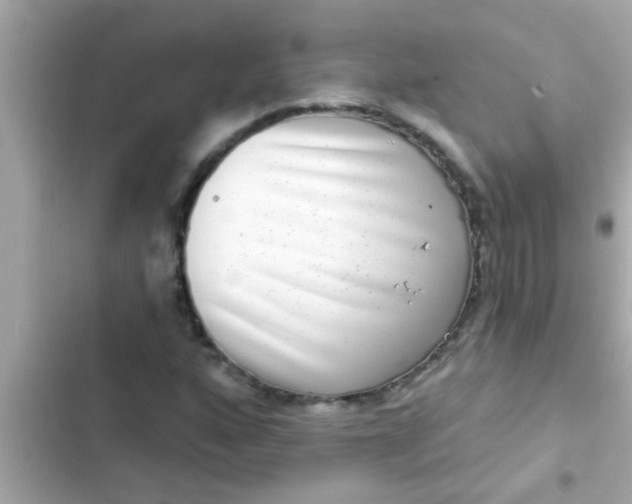 X0000102401160200808151937