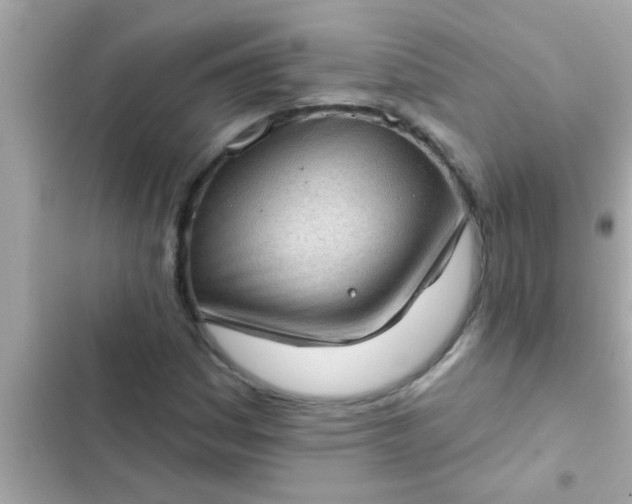 X0000102401161200808151937