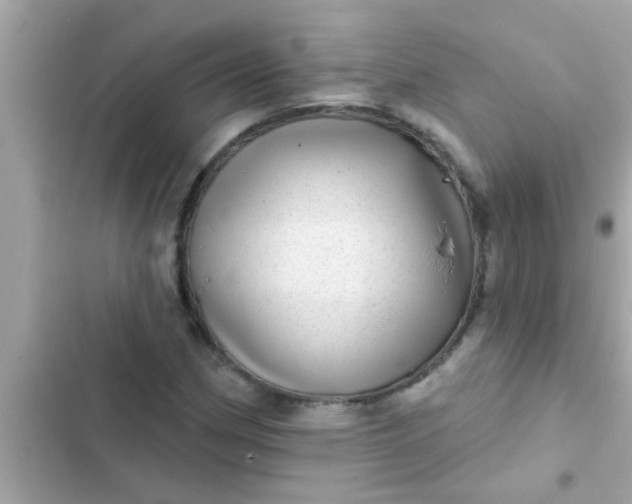 X0000102401162200808151936