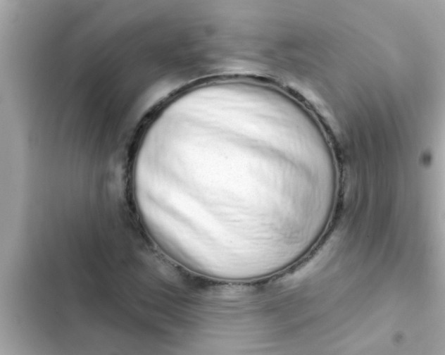 X0000102401163200808151936