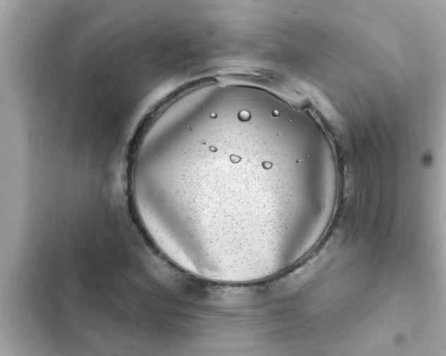 X0000102401164200808151936