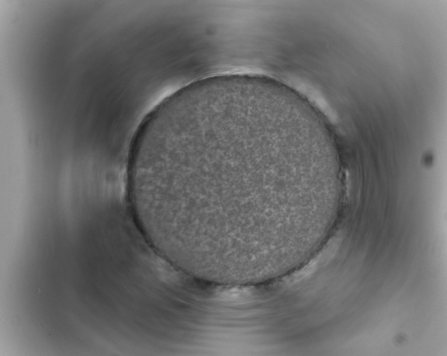 X0000102401165200808151936