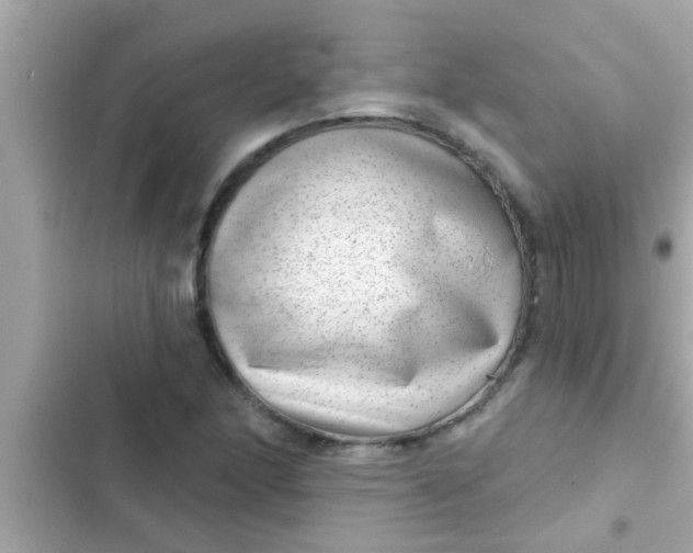 X0000102401166200808151936