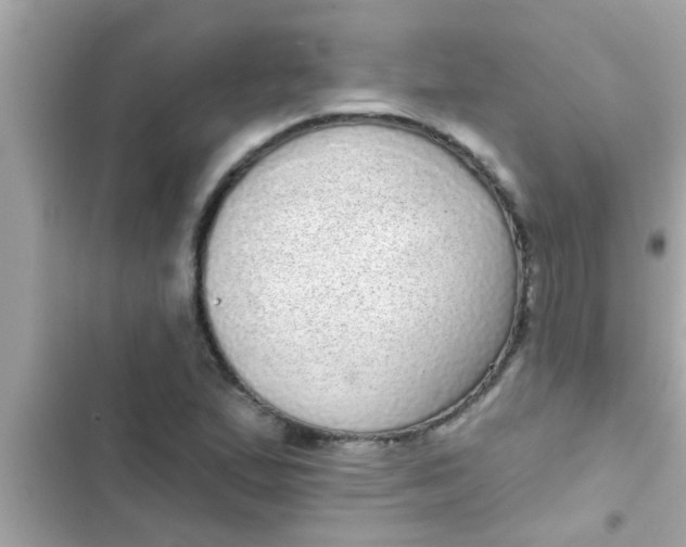 X0000102401167200808151936