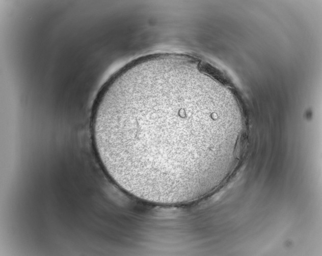 X0000102401168200808151936