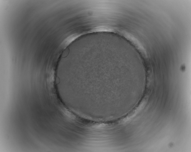 X0000102401169200808151936