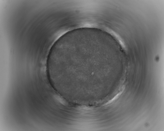 X0000102401170200808151936