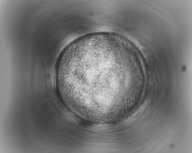 X0000102401171200808151936