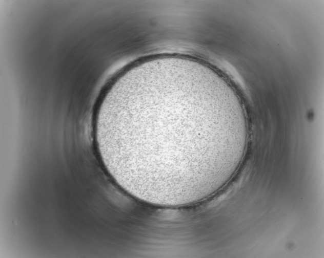 X0000102401172200808151936