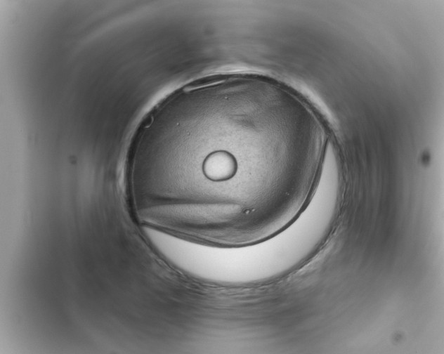 X0000102401173200808151936