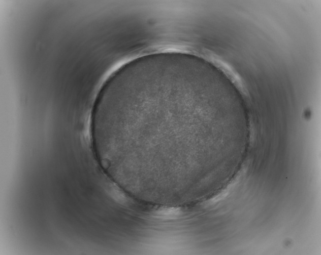 X0000102401174200808151936