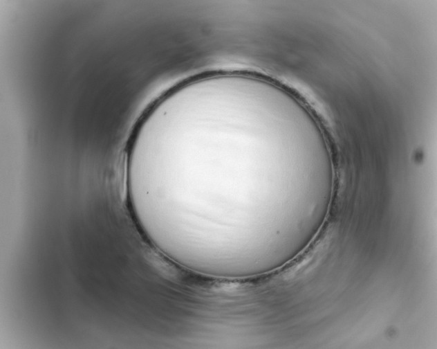 X0000102401175200808151936