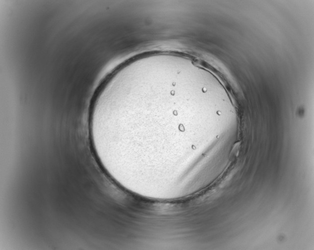 X0000102401176200808151936