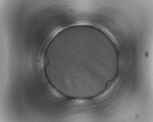 X0000102401177200808151936