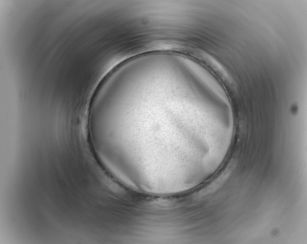 X0000102401178200808151936