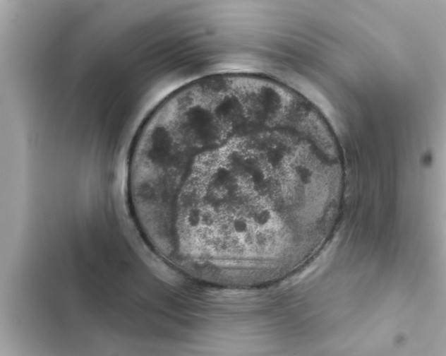 X0000102401179200808151936