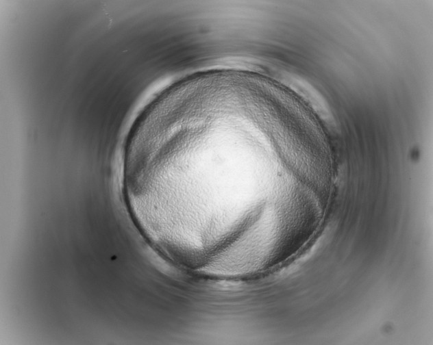 X0000102401180200808151936