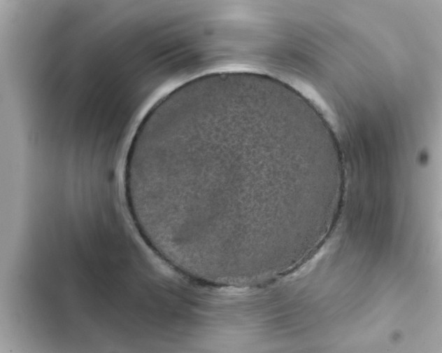 X0000102401181200808151936