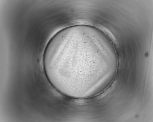 X0000102401182200808151936