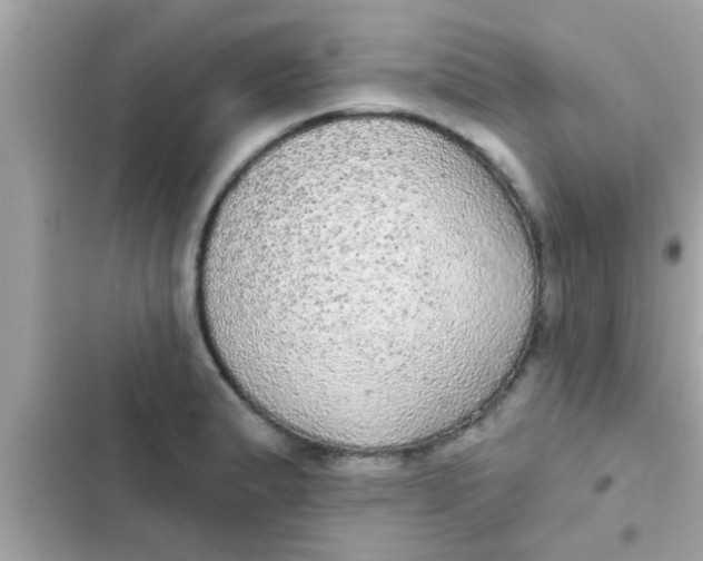 X0000102401183200808151936