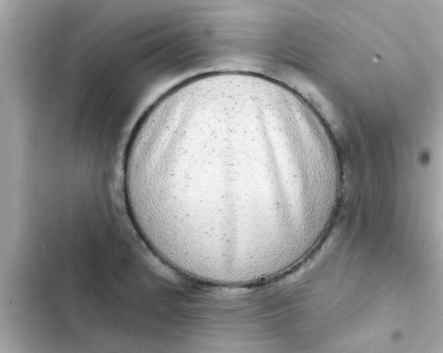 X0000102401184200808151936