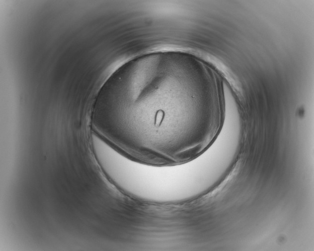 X0000102401185200808151936