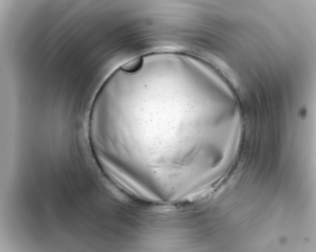 X0000102401186200808151936