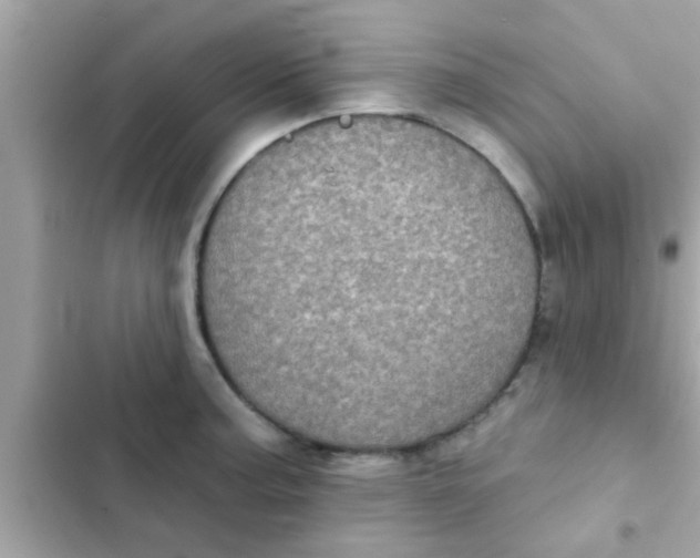 X0000102401187200808151936