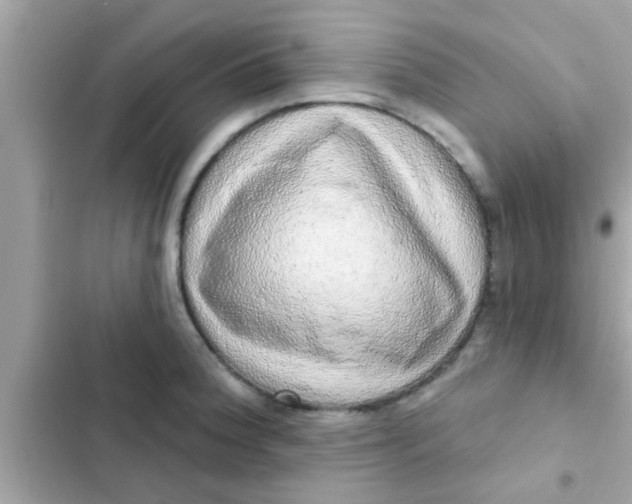 X0000102401188200808151936