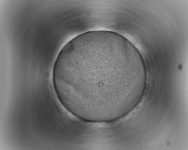 X0000102401189200808151936