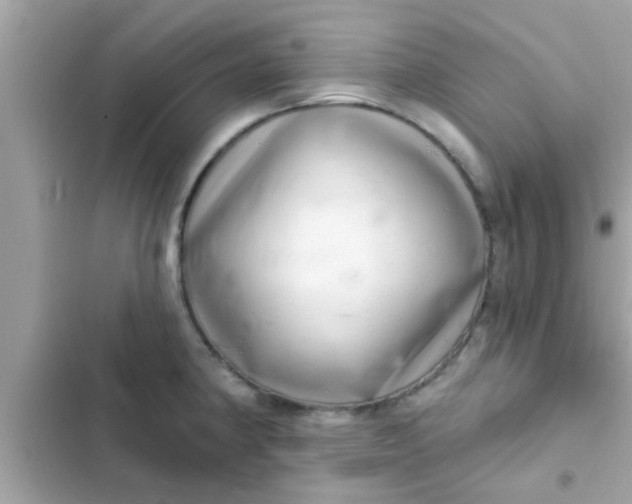 X0000102401190200808151936